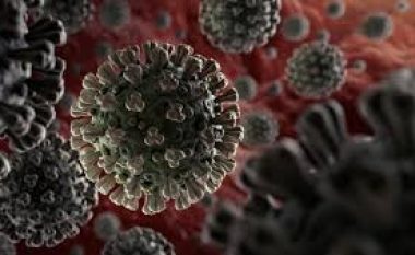 ​Eksperti i OBSH: Bota duhet të jetojë me kërcënimin e coronavirusit