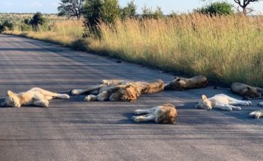 Luanët pushojnë në rrugë pas bllokimit të Afrikës së Jugut nga coronavirusi