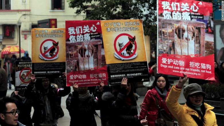 Kina drejt ndalimit të konsumimit të mishit të qenve – zbulon projekt-listën e kafshëve që mund të kultivohen për mish