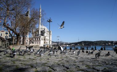 Delfinët lozin pranë pikave të nxehta turistike në Stamboll