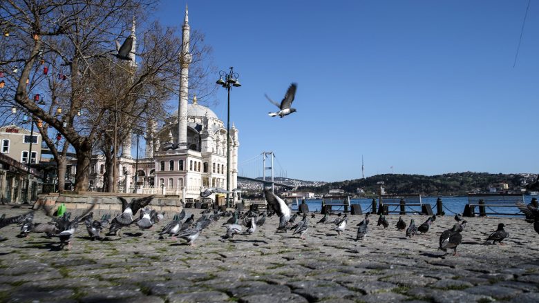 Delfinët lozin pranë pikave të nxehta turistike në Stamboll