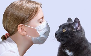 A duhet që t’i mbajmë macet brenda në shtëpi gjatë periudhës së coronavirusit?