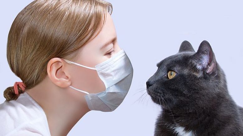 A duhet që t’i mbajmë macet brenda në shtëpi gjatë periudhës së coronavirusit?