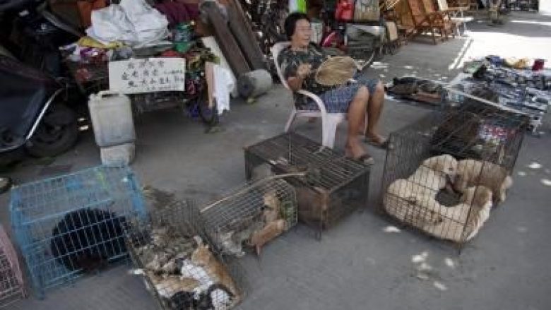 Shenzheni ndalon konsumimin e mishit të maces dhe qenit