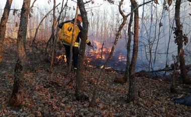Jashari: Persona të pandërgjegjshëm po i vënë zjarrin pyjeve tona