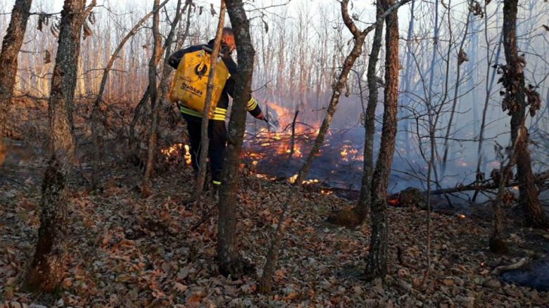 Jashari: Persona të pandërgjegjshëm po i vënë zjarrin pyjeve tona