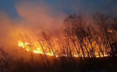 Zjarrvënia në pyjet e Drenasit, reagon Lladrovci