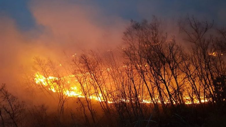 Zjarrvënia në pyjet e Drenasit, reagon Lladrovci