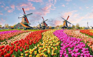 Thënie holandeze: Është art i madh të mbetesh i mençur në mesin e të marrëve!