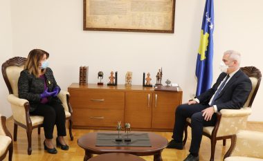 Sveçla priti në takim përfaqësuesit e Komisionit për Çështjet e Sigurisë dhe Mbrojtjes