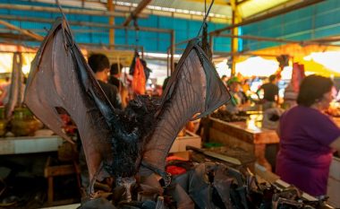 Tregje famëkeqe të kafshëve të egra nuk ka vetëm në Kinë, imazhet shqetësuese i shfaqin lakuriqët që shiten në një treg në Indonezi
