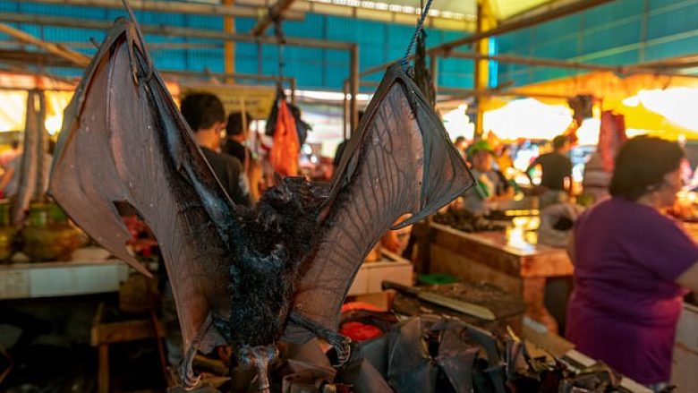 Tregje famëkeqe të kafshëve të egra nuk ka vetëm në Kinë, imazhet shqetësuese i shfaqin lakuriqët që shiten në një treg në Indonezi