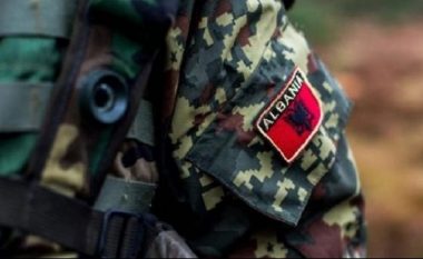 63 për qind e qytetarëve në Shqipëri kërkojnë rritjen e shpenzimeve për mbrojtjen e vendit