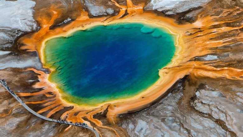 Ky bakter është kyç për zbulimin e coronavirusit: E kanë gjetur në Yellowstone para gjysmë shekulli