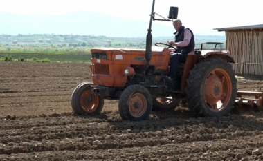 ​Puna 50 vjeçare e familjes Hoti në bujqësi, këtë vit rrezikon shuarjen shkaku i COVID-19