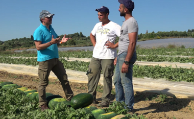 Greqia kërkon punëtorë shqiptarë: Të hapim kufijtë vetëm për sezonin e vjeljeve të stinës