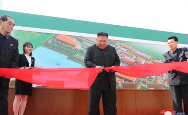 Inteligjenca e Koresë së Jugut: Nuk ka shenja që Kim është operuar në zemër