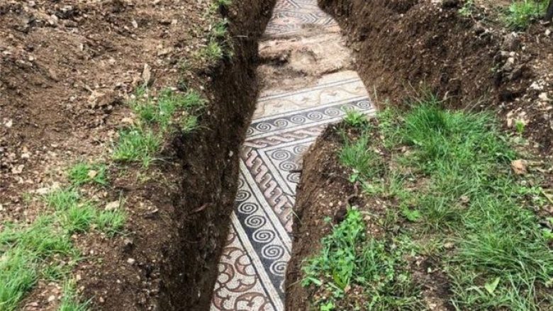 Një dysheme mozaiku gjendet në vreshta të Veronës në Itali