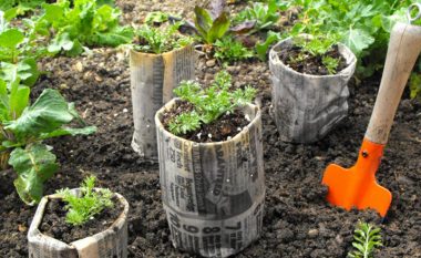 Ide dhe zgjidhje të thjeshta: Enët për mbjelljen e farave në shtëpinë tuaj