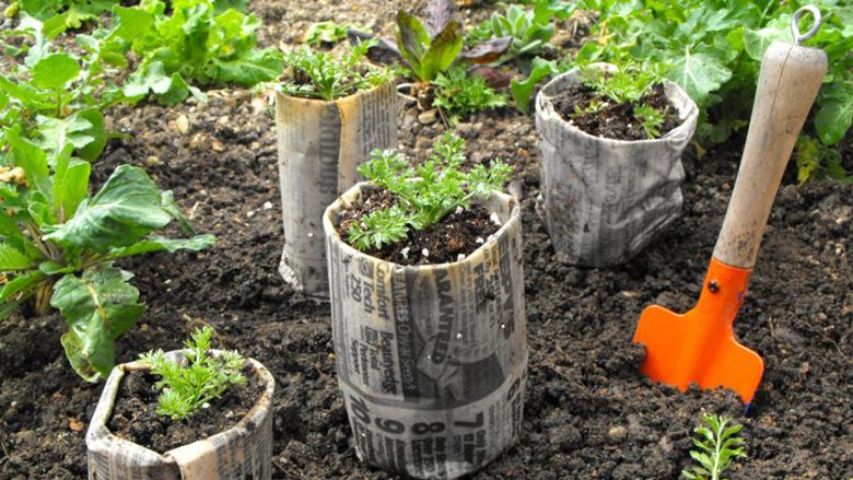 Ide dhe zgjidhje të thjeshta: Enët për mbjelljen e farave në shtëpinë tuaj
