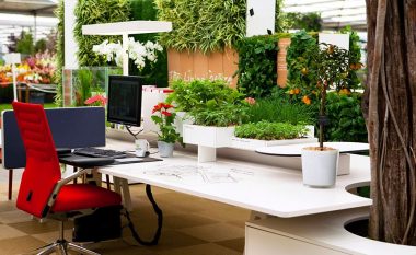 Shëndet i mirë dhe atmosferë e mirë: Mënyra më e mirë për dekorimin e tavolinës së punës
