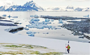 Kriza e klimës po e bën të gjelbër Antarktidën