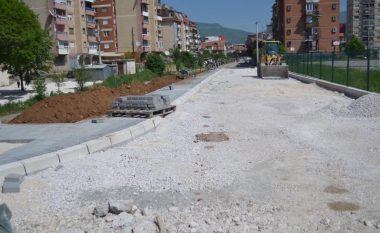 Nis rregullimi i rrugës “Mbreti Bardhyl” në Mitrovicë