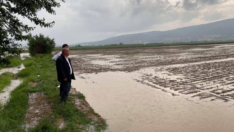 Latifi: Breshëri e shiu dëmtoi kulturat bujqësore në Rahovec