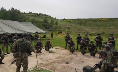 Xhaçka: Për herë të parë një ekip Komando do të shërbejë në KFOR në Kosovë