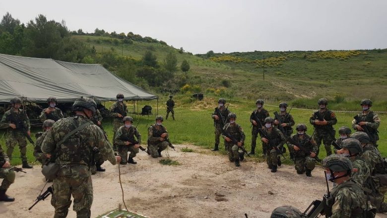Xhaçka: Për herë të parë një ekip Komando do të shërbejë në KFOR në Kosovë