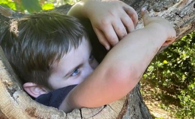 Katërvjeçari bllokohet brenda një peme në një park të Anglisë