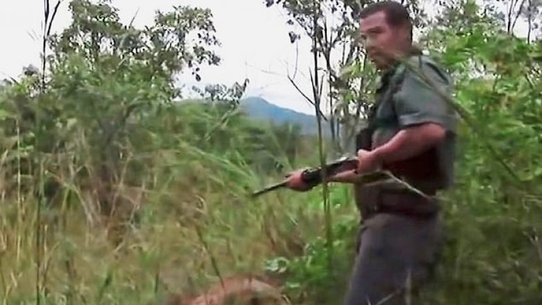 Reporteri që promovohej si mbrojtës i kafshëve, shfaqet duke qëlluar mbi elefantë dhe luanë