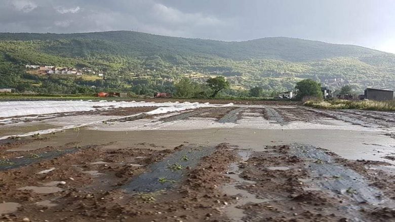 Haradinaj: Qeveria t’u qëndrojë afër fermerëve të prekur nga vërshimet në Rahovec e Suharekë