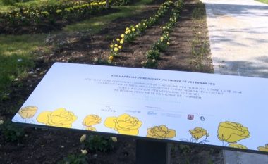 Me lule përkujtohen të vetëvrarët në Kosovë