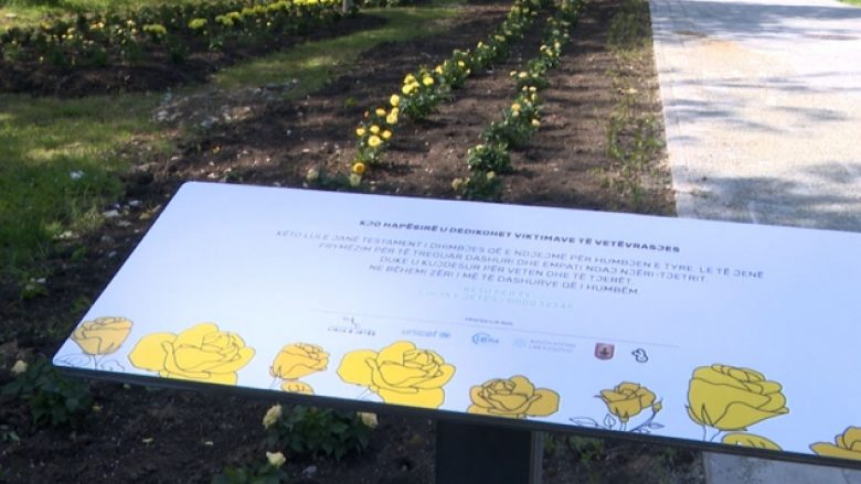 Me lule përkujtohen të vetëvrarët në Kosovë