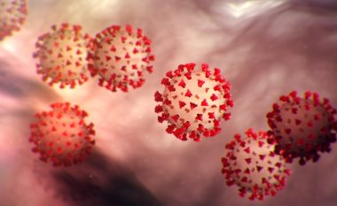 Rreth pesë milionë njerëz të infektuar në të gjithë botën nga coronavirusi