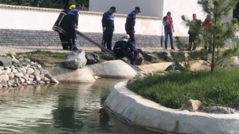 Mbytet një fëmijë në liqenin artificial të Korçës