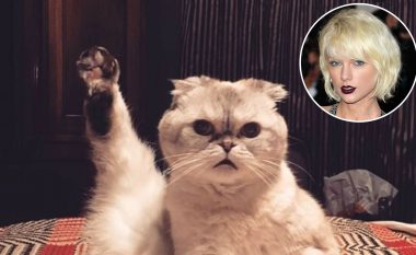 Macja e Taylor Swift, Olivia Benson ka një pasuri prej qindra miliona dollarësh