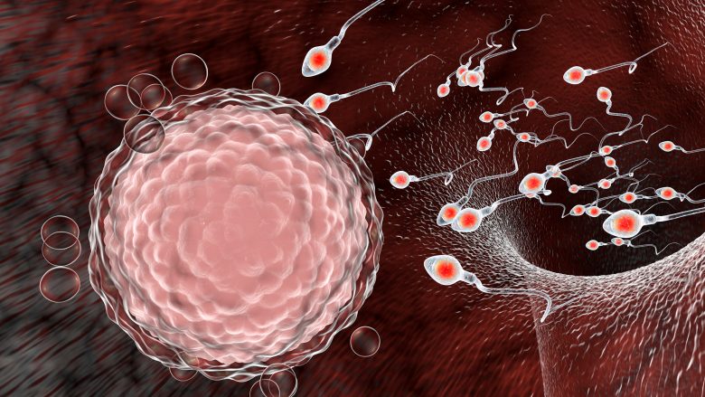 Coronavirusi gjendet në spermën e meshkujve – madje edhe pasi kanë filluar të shërohen