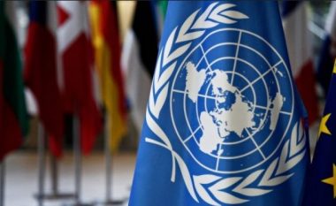 ​India, Meksika, Norvegjia dhe Irlanda anëtaret e reja në Këshillin e Sigurimit