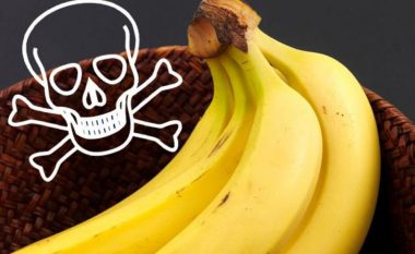 Pakot e bananeve i mbushin me kokainë, sekuestrohen lëndë narkotike në portin e Roterdamit – kapin vlerën e 151 milionë eurove
