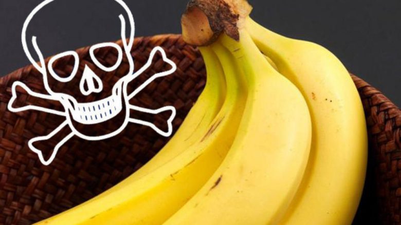 Pakot e bananeve i mbushin me kokainë, sekuestrohen lëndë narkotike në portin e Roterdamit – kapin vlerën e 151 milionë eurove