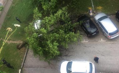 Rrëzohet druri dhe bie mbi vetura në një parking në Prishtinë
