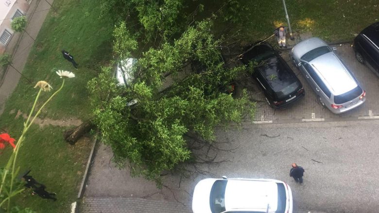 Rrëzohet druri dhe bie mbi vetura në një parking në Prishtinë