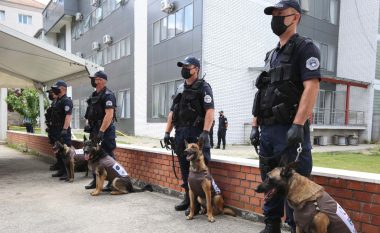 UNDP i dorëzon Policisë së Kosovës pesë qen për zbulimin e armëve