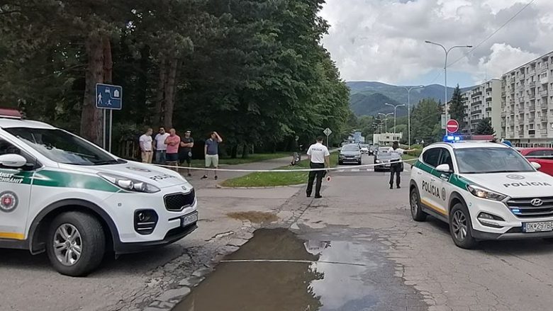 Sulm me thikë në një shkollë në Sllovaki, 22-vjeçari i vërsulet turmës – raportohet për të vdekur dhe të lënduar