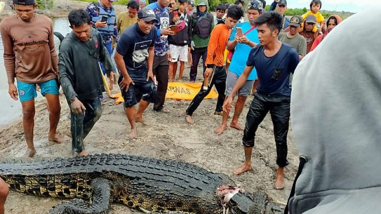 Ishte duke peshkuar në një lumë – gruaja nga Indonezia sulmohet nga një krokodil, banorët e fshatit gjejnë gjymtyrët brenda trupit të bishës