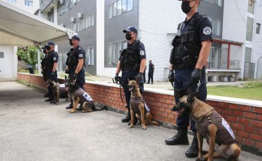 Njësia K9 e Policisë së Kosovës pranon pesë qen për të zbuluar armë të teknologjisë së re
