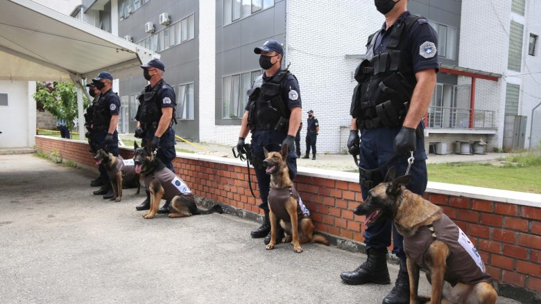Njësia K9 e Policisë së Kosovës pranon pesë qen për të zbuluar armë të teknologjisë së re