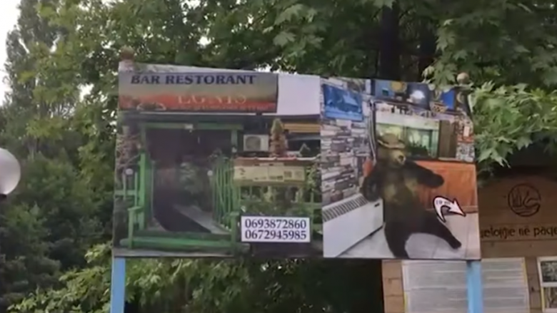 “Në Shqipëri shërbehet edhe mish ariu” – mediat shqiptare vizitojnë restorantit, reagon pronari